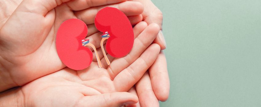 How kidney specialists guide patients through complex health decisions